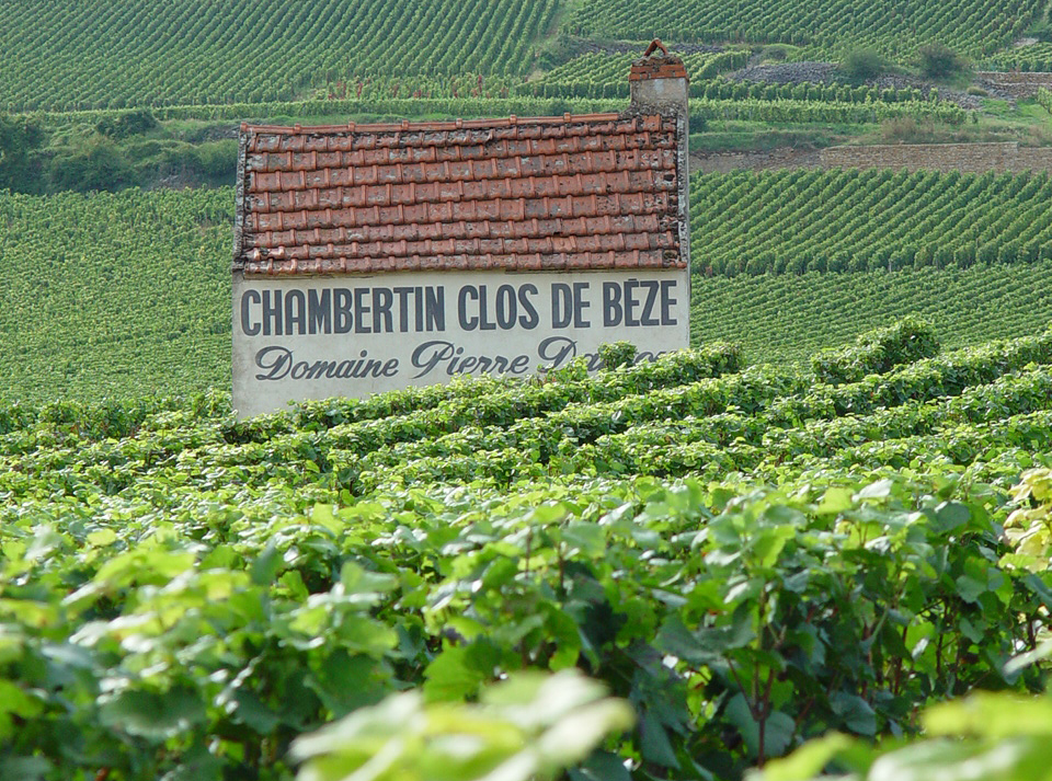 Exclusive French Wine Tours & Private Cellar Encounters