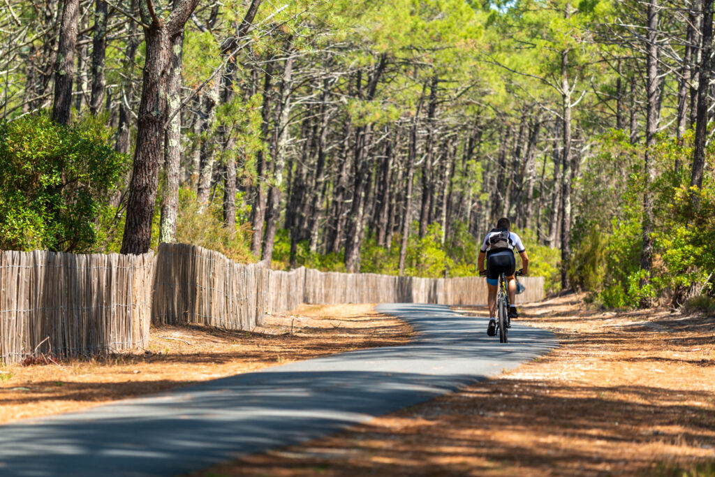 Luxurious Things To Do In & Around Arcachon, France