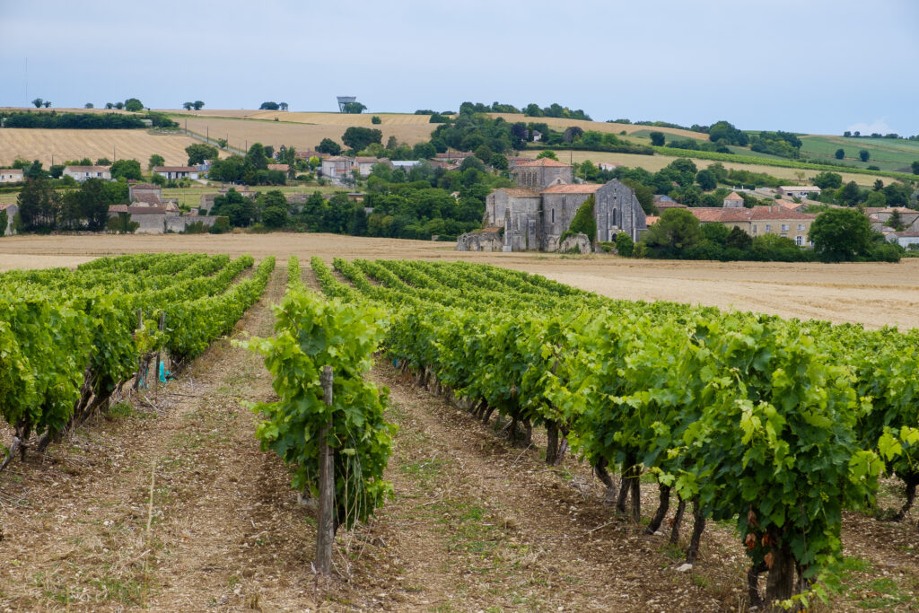 5 Reasons Luxury Travelers Should Visit Cognac, France