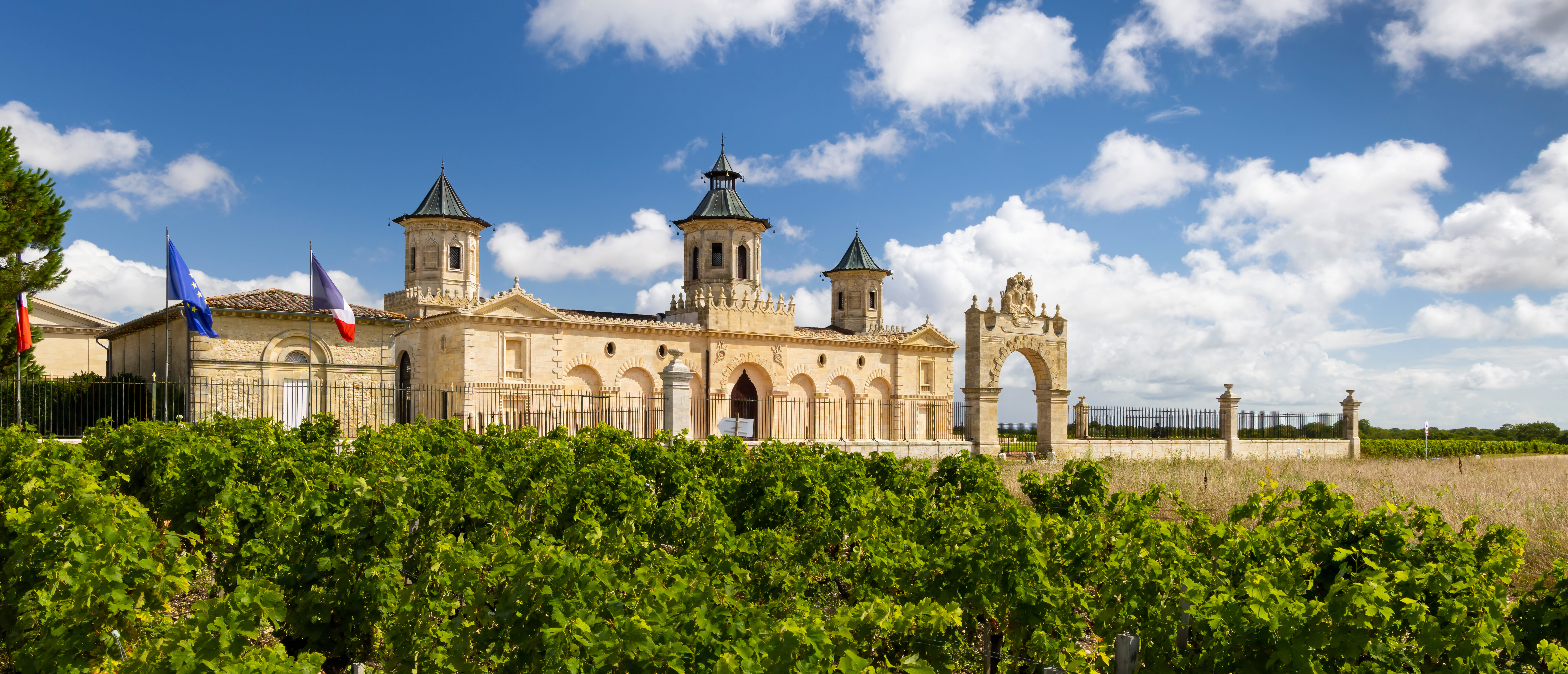 Bordeau Vineyard