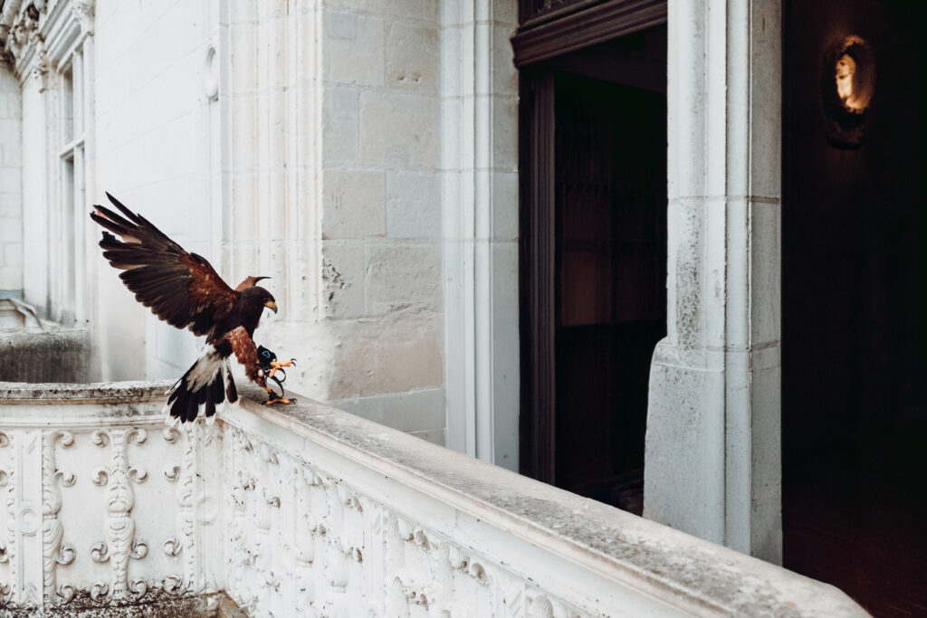 Luxury Proposal Experience at the Stunning Chateau de Chenonceau