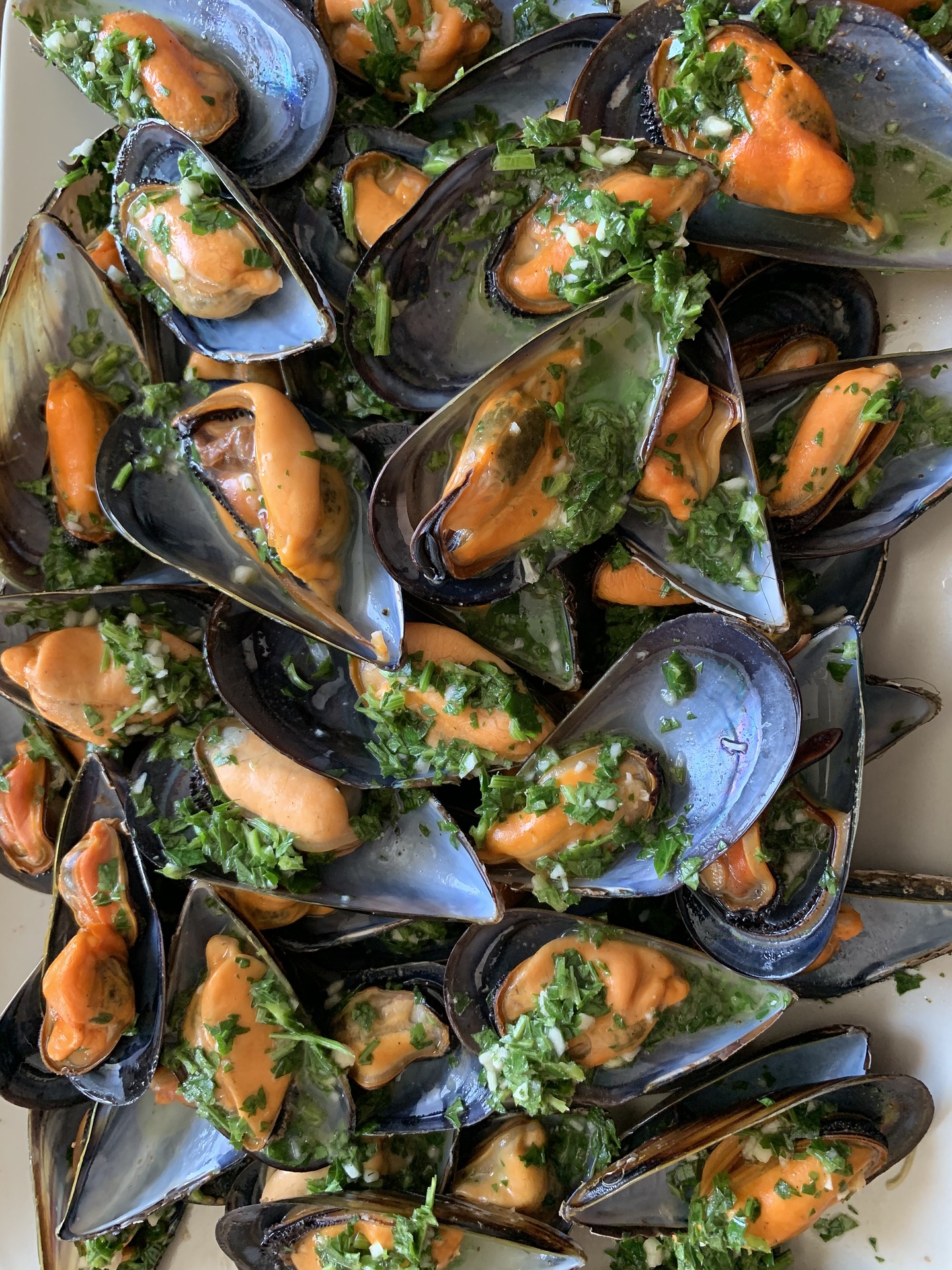 Plate of mussels