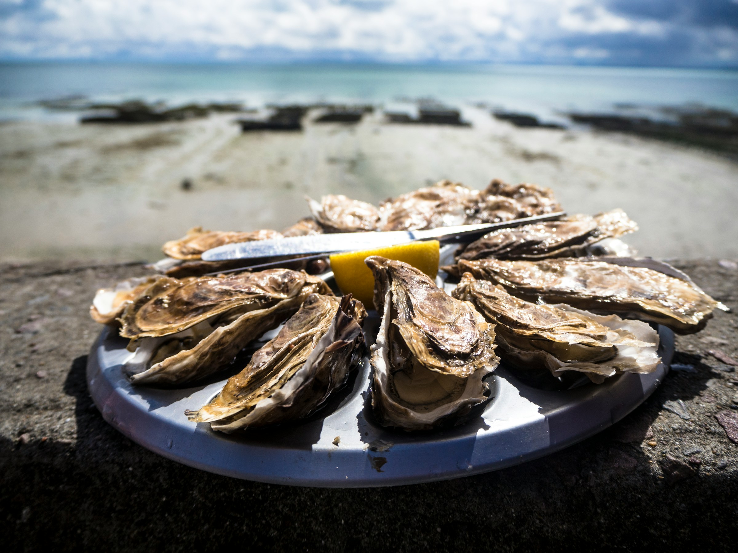 A plate full of oysters in Brittany