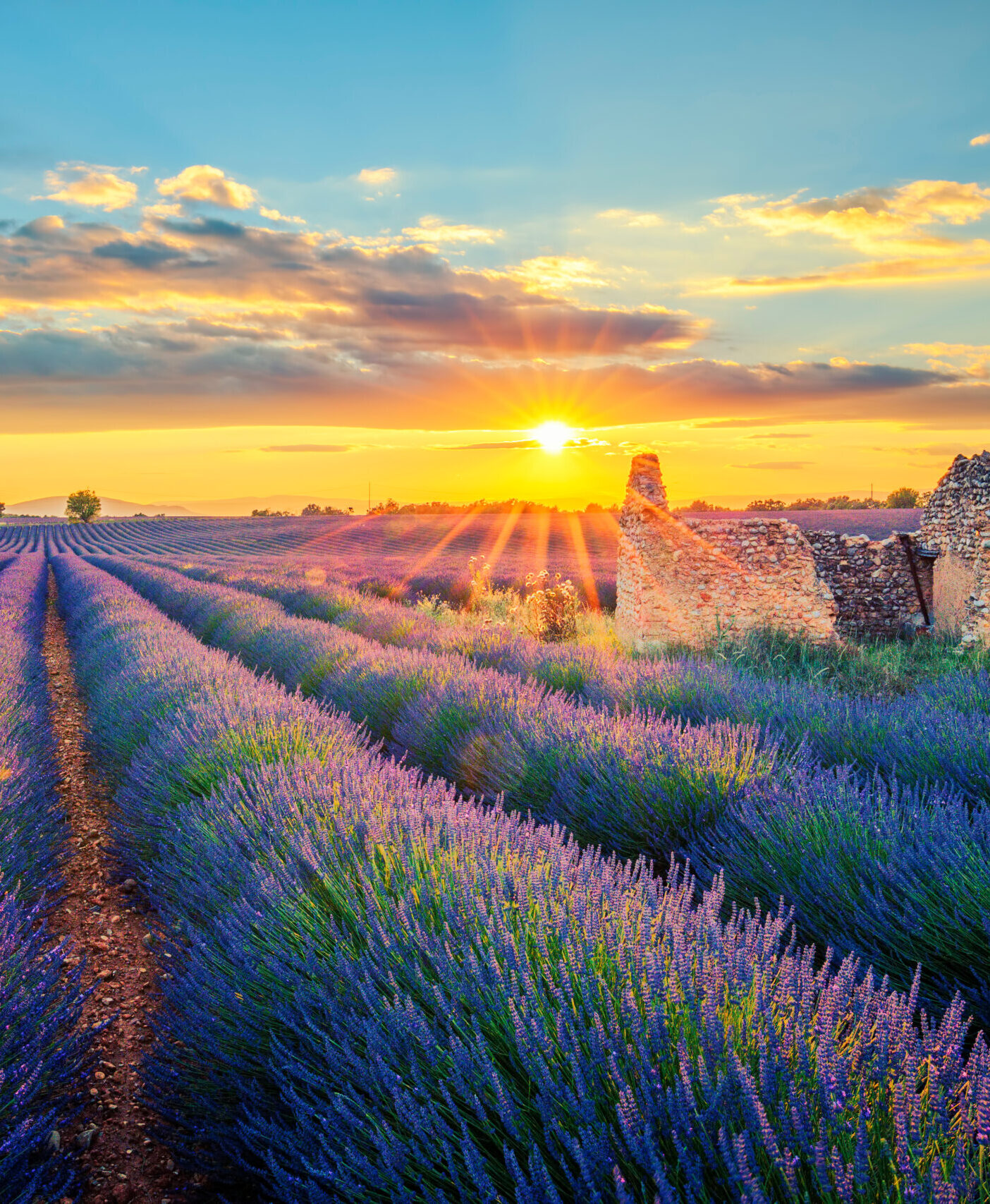 -Visit Provence: A Journey Through Sunlit Villages, Lavender Fields & Rolling Vineyards