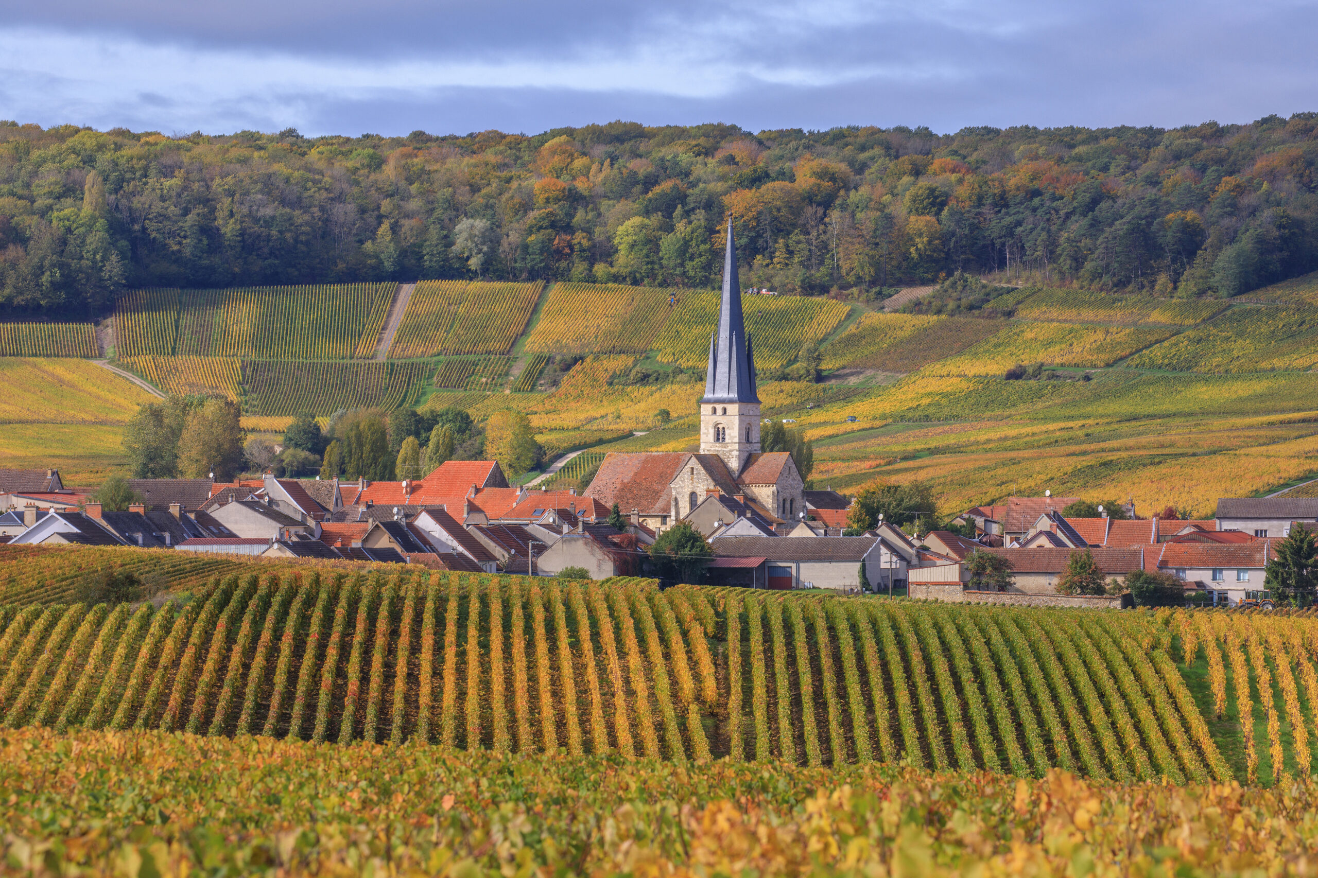 Visit Champagne, Festive treats, impressive cellars, moving history