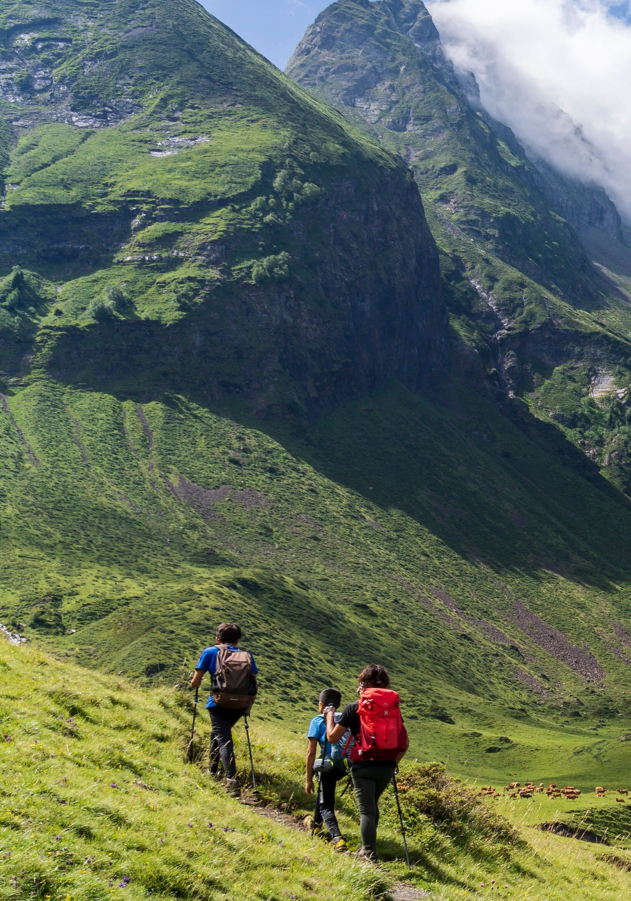 Visit Occitanie, Gastronomic heritage, Mystical history, Extraordinary nature