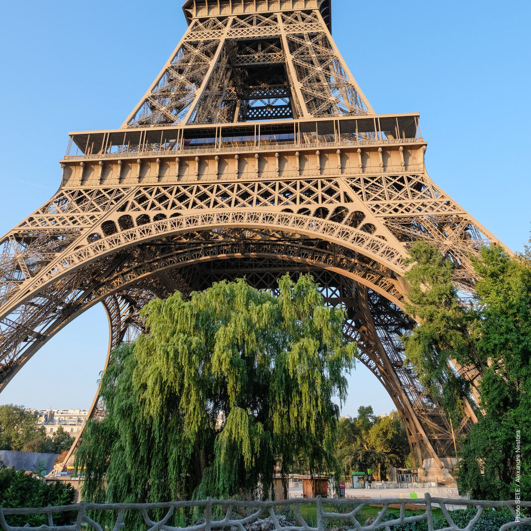 View of the Eiffel Tower from a garden