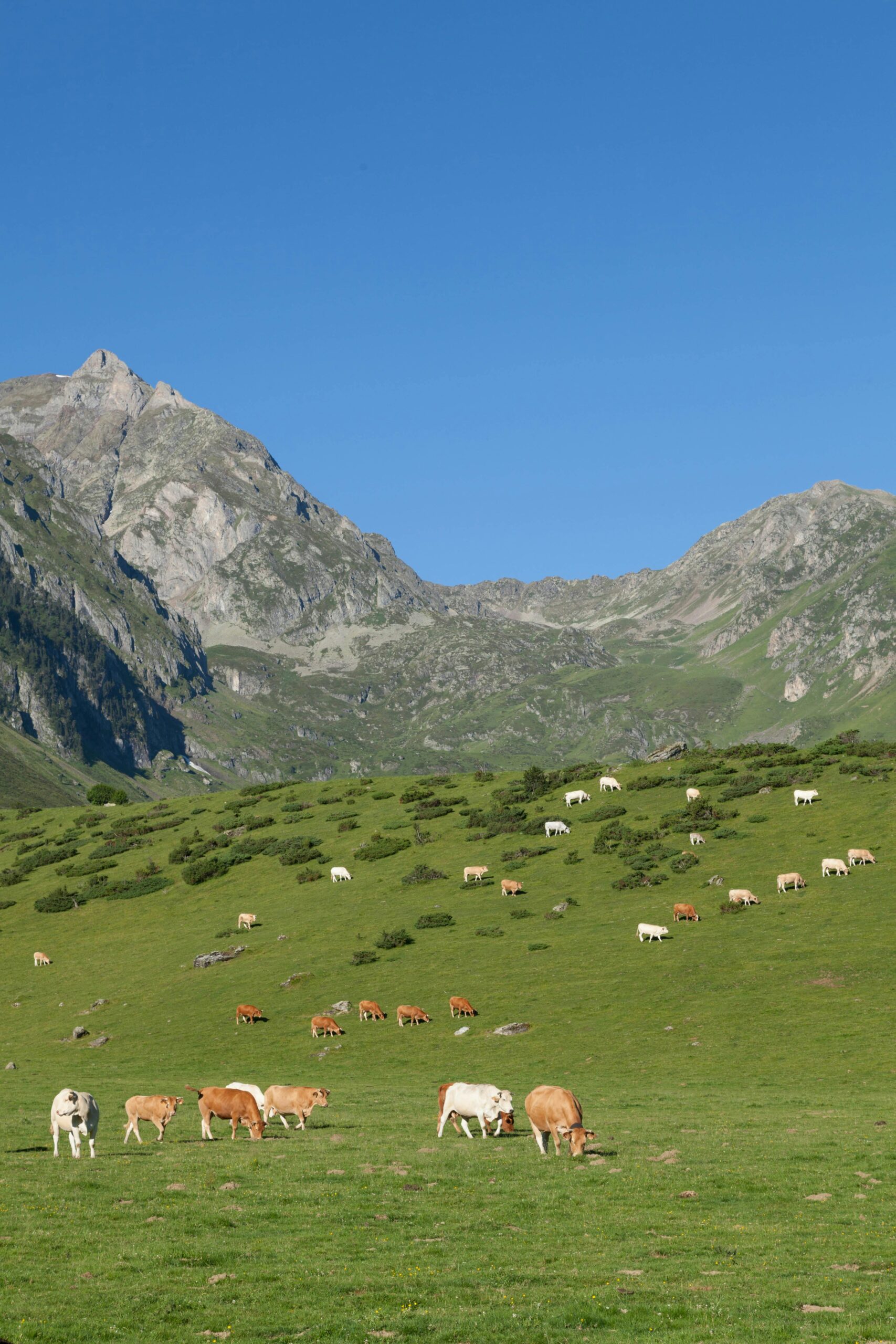 Visit Occitanie, Gastronomic heritage, Mystical history, Extraordinary nature