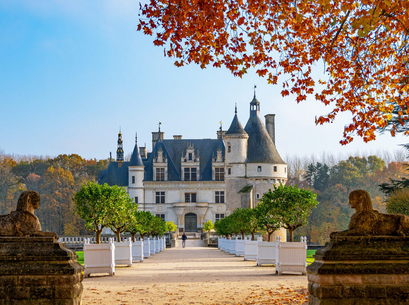 Visit the Loire Valley, Castles, rich culture, wildlife & wine